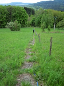 po betonovém pásu ke K-S 35 Nad lesem (foto z roku 2016) po betonovém pásu ke K-S 35 Nad lesem (foto z roku 2016)