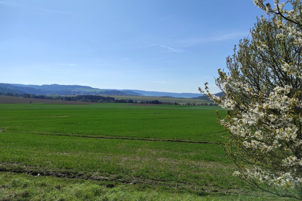 pohled od Gruny k Linharticím pohled od Gruny k Linharticím